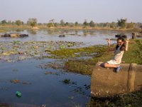 9577WasserbüffelProi