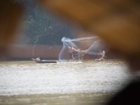 9010UbonRestaurantamFluss